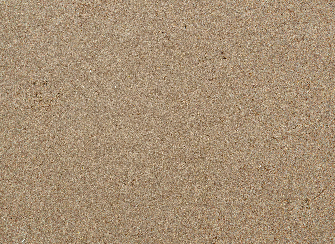 Fényezett felületű olasz Santafiora homokkő